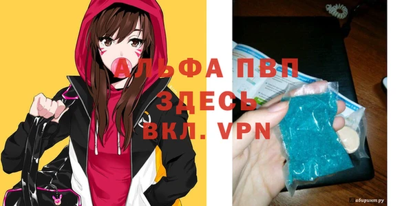 шишки Арсеньев