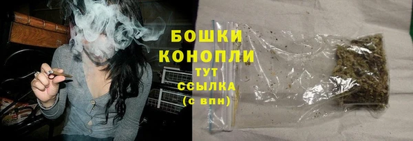 шишки Арсеньев