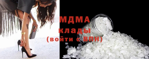 прущие грибы Балабаново