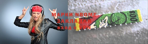 шишки Арсеньев