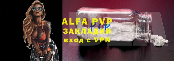 PSILOCYBIN Баксан