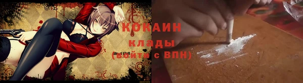 шишки Арсеньев