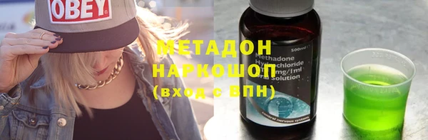 прущие грибы Балабаново