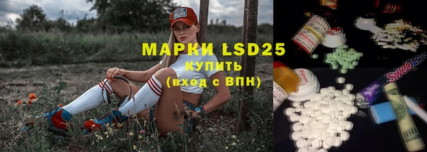 шишки Арсеньев