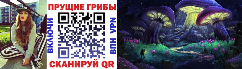 купить закладку  Лобня  kraken онион  Галлюциногенные грибы ЛСД 